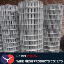 Competitive best price galvanized welded wire mesh (Anping factory)